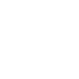 flowerboy creative Logo