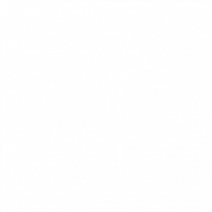 cropped-fblogo_white-260×260-trans-1.png